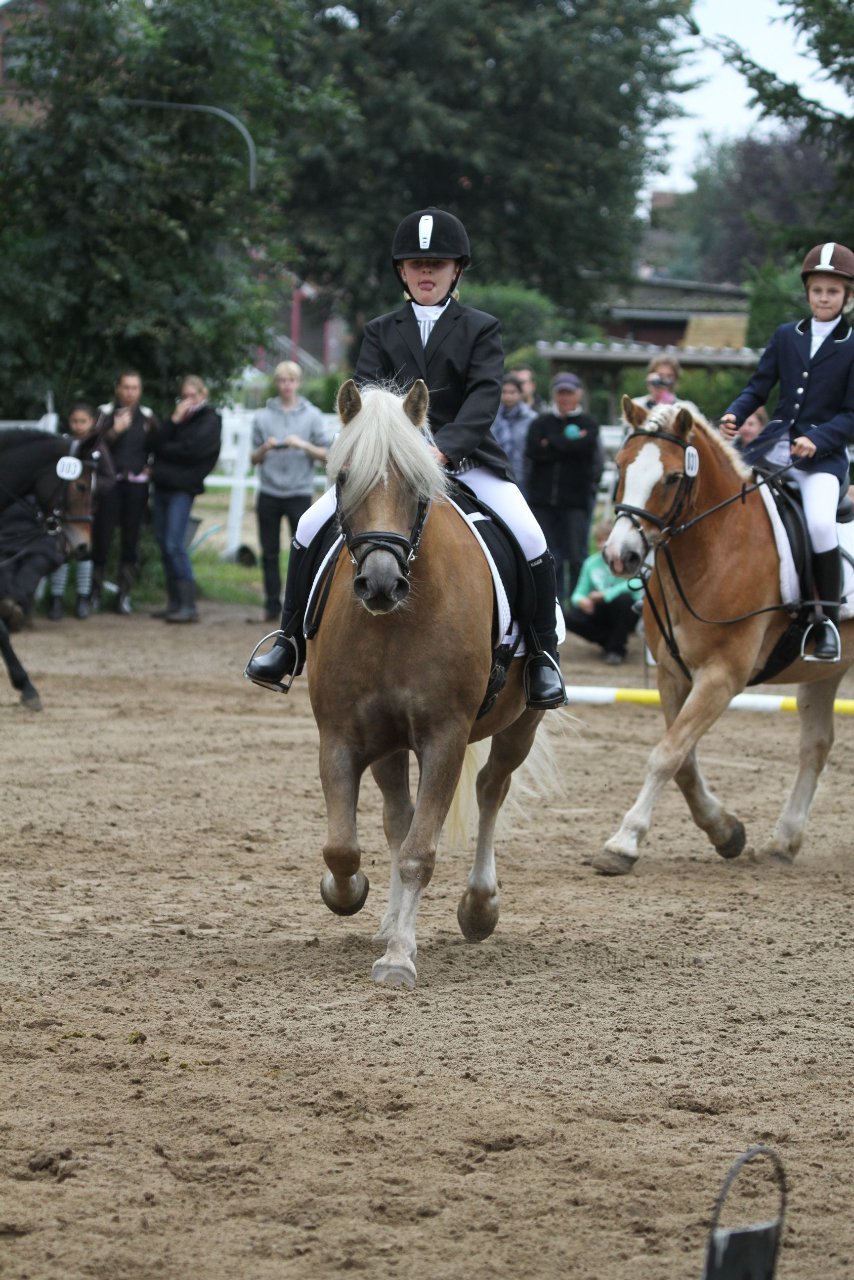 Bild 1012 - WBO-Turnier am 18.9.11